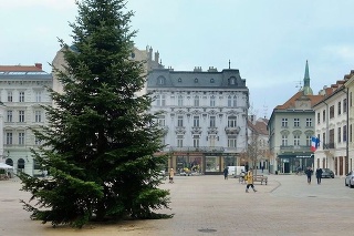 Vianočný stromček na Hlavnom námestí pár dní pred rozsvietením.