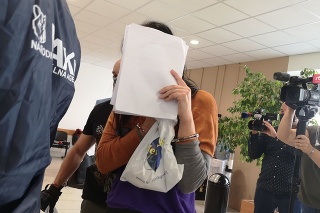 Advokátka Žedényiová prichádza na súd.
