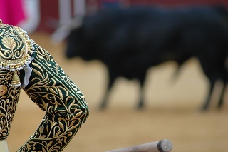 defocused bull before the matador