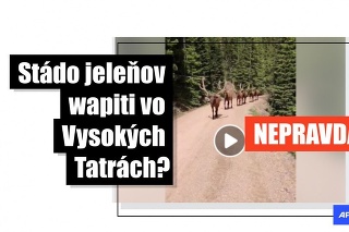 Viac ako 10.000 ľudí zdieľalo na Facebooku video zachytávajúce stádo jeleňov, ktoré malo byť podľa popisu natočené začiatkom augusta na Podbanskom vo Vysokých Tatrách.
