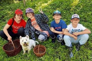 Hubačka - Vnúčence, zľava Paulínka (13), Karolínka (13), Alex (11) a Jakub (9), na hubačke so psíkom Olíkom. 