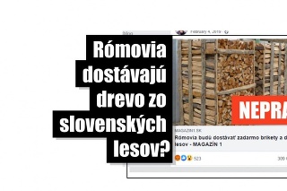 V roku 2019 sa na internete objavila dezinformácia o tom, že Vojenské lesy a majetky Slovenskej republiky (VLM SR) Rómom darujú brikety a drevo.