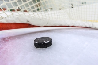 Hockey Net with Puck in Goal