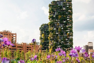 Milan, Italy - May 7, 2019: Iris flowers in the garden against Bosco Verticale or vertical forest apartment buildings towers in Porta Nuova district, Milano, Italy