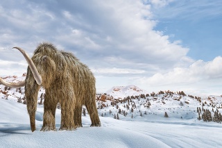 Woolly mammoth set in a winter scene environment. 16/9 Panoramic format. Realistic 3d illustration.