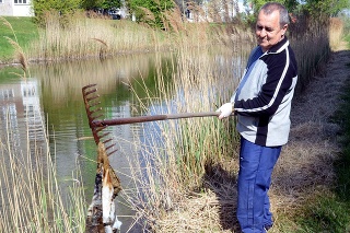 Čistenie Chorvátskeho ramena na Deň Zeme v bratislavskej Petržalke 22. apríla 2016.