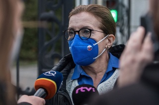Predsedníčka poslaneckého klubu SaS Anna Zemanová