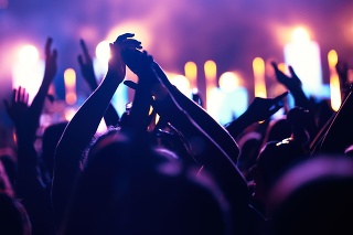 Happy cheering crowd with hands in air at music festival