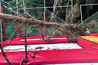 Suchý strom sa zrútil na trampolínu v sobotu podvečer, nikomu sa našťastie nič vážnejšie nestalo.