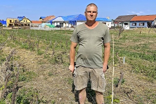 Juraj Ondruška v úplne zničenom a vytrhanom vinohrade dva týždne po tornáde.