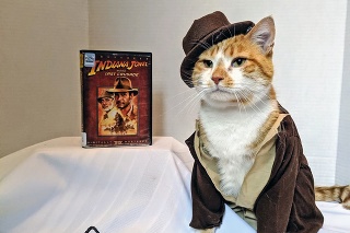 Horatio ako
dobrodružný
Indiana Jones