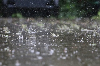 falling rain on the street