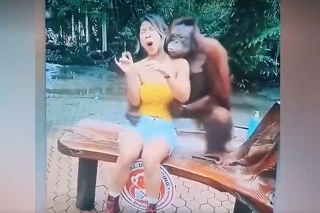 Fotenie s otravnou opicou