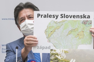 Prírodná rezervácia Pralesy Slovenska má vzniknúť 1. decembra.
