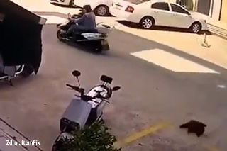 Pes simuloval, že ho zrazil motorkár: Vystrašil muža, ktorý bol nablízku