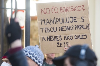 Účastníci protestu proti blokovaniu reformy národných parkov 9. novembra 2021 pred Národnou radou SR v Bratislave.