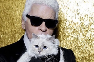 Karl svoju mačku Choupette nadovšetko miloval.