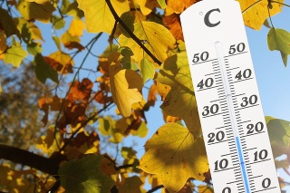 Thermometer in front of an autumn colored tree