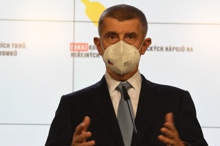 Minister zdravotníctva Adam Vojtěch a premiér Andrej Babiš vystúpili 25. novembra 2021 v Prahe na tlačovej konferencii po mimoriadnej schôdzi vlády v demisii, ktorá prejednávala nové opatrenia proti šíreniu ochorení covid-19.