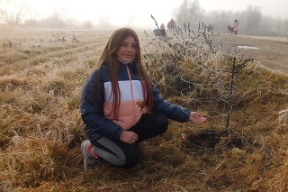 Šiestačka Lívia Zagorová (12) zasadila pri svojej obci lipu.