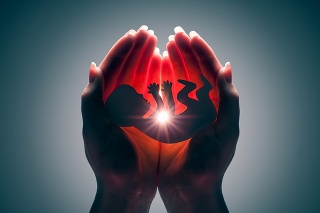embryo silhouette in woman hand