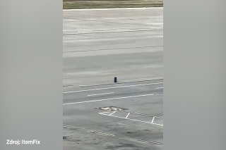 Išiel kufor na vandrovku: Zatúlaná batožina sa na letisku v Dallase valí pristávacou dráhou 
