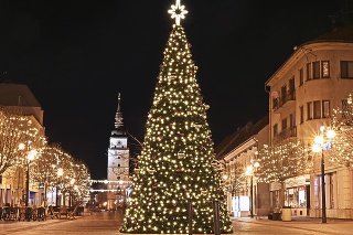 Vianočný stromček v Trnave.