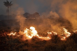 Požiar v Brazílii. (archívne foto)