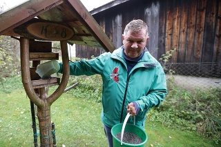 Ľudia by si skôr mali užiť ten prírodný ohňostroj, hovorí prírodovedec Miroslav Saniga.