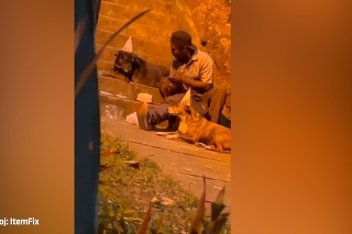 To je dojímavé! Muž bez domova oslavuje narodeniny na schodoch so svojimi psíkmi