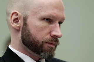 Breivik chce