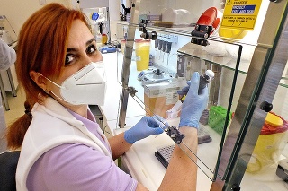 Laborantka Jarmila Ciglanová pripravuje vzorky na test.