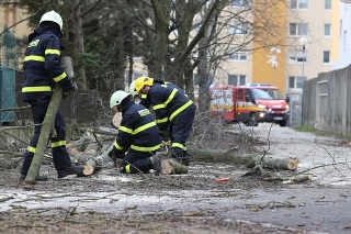 Dobrovoľní hasiči z Devínskej novej Vsi odstraňujú padnutý strom, ktorý spadol na chodník na jednej z ulíc v bratislavskej Dúbravke.