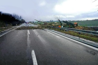 Malacky - Na ťahu z Malaciek do obce Veľké Leváre vyvrátilo strom, ktorý zablokoval cestu. 