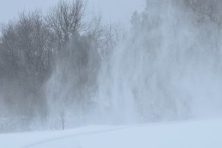 January Winter Blizzard New Brunswick Canada