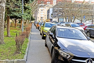 Samosprávy tvrdia, že na zavedenie regulovaného parkovania potrebujú viac času.