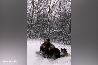 Toto video vám roztopí srdce: Nezvyčajné priateľstvo muža poľovníka a diviakov