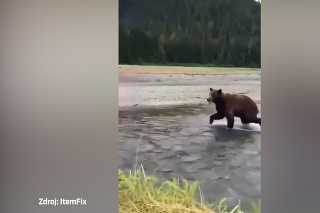 Ani nimi nehlo: Odpočinok pri vode sa pokúsil narušiť medveď