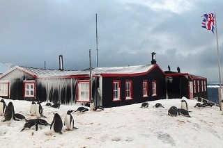 Úlohou poštára bude aj počítať tučniaky.