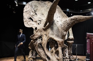 Ranu Johnovi uštedril iný triceratops.