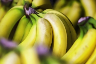 Banana bunch 