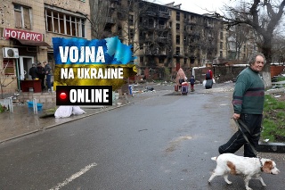 Muž so psom kráča po ulici zničenej počas ťažkých bojov v obytnej štvrti v oblasti kontrolovanej proruskými separatistami v Mariupoli.