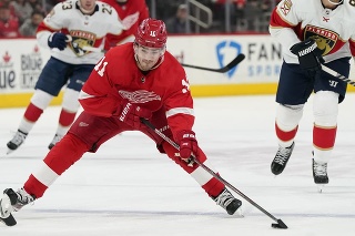 Filip Zadina sa s Detroitom nedokázal prebojovať do play-off zámorskej NHL.