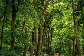 Hike the world zverejnil krásne fotky z Devínskej Kobyly.