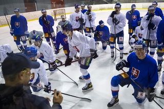 Na snímke hokejisti počas tréningu slovenskej hokejovej reprezentácie pred MS vo Fínsku.
