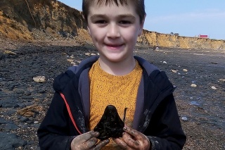 6-ročný chlapec našiel zub prehistorického žraloka starého 20 miliónov rokov.