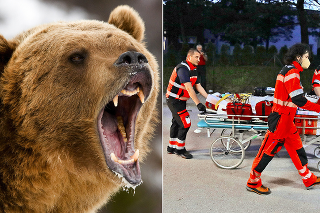 Zraneného muža po útoku medvedice transportovali do nemocnice.
