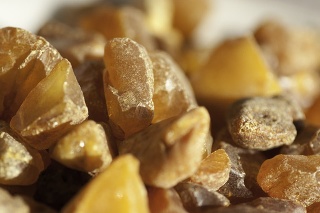 Bunch of amber found along the Danish coast