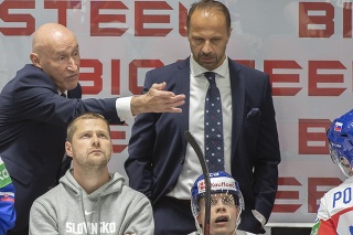 Na snímke zľava tréner slovenských hokejistov Craig Ramsay, asistent Ján Pardavý, dole uprostred Adam Liška a vpravo Kristián Pospíšil počas zápasu.