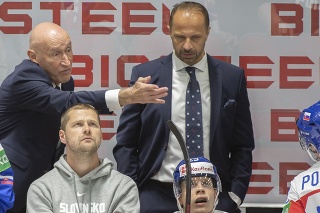Na snímke zľava tréner slovenských hokejistov Craig Ramsay, asistent Ján Pardavý, dole uprostred Adam Liška a vpravo Kristián Pospíšil počas zápasu.